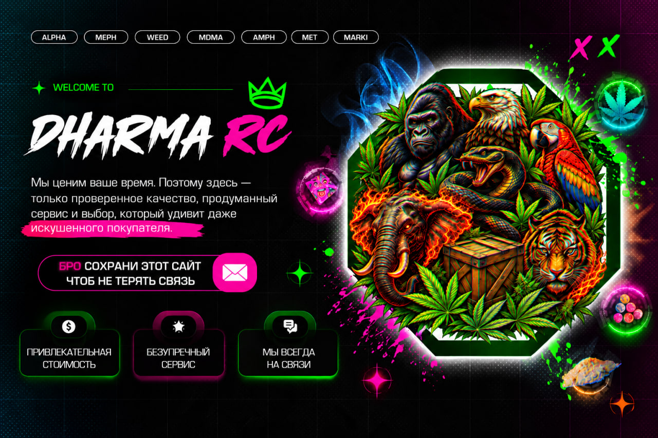 DHARMA RC - магазин с высоким уровнем сервиса